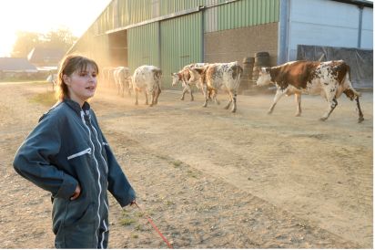 Assurance multirisque agricole